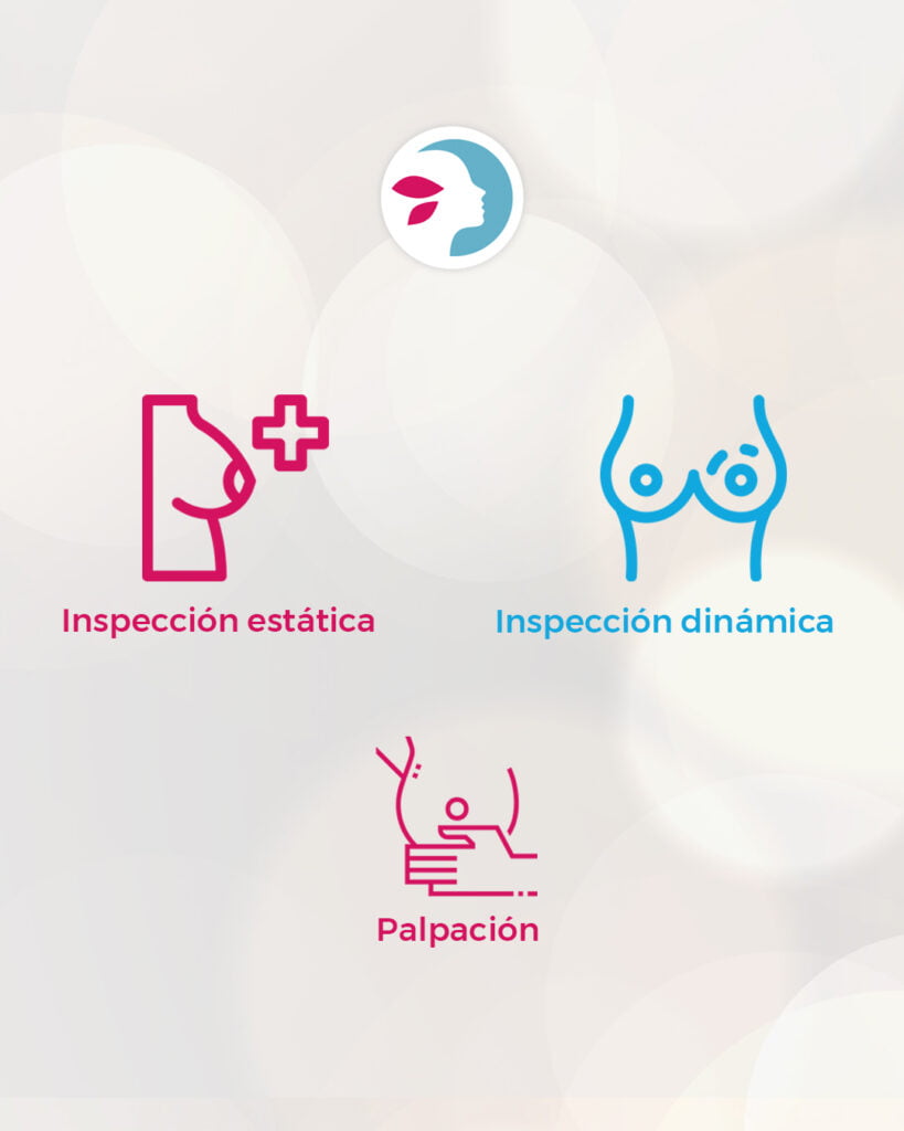 palpacion e inspeccion